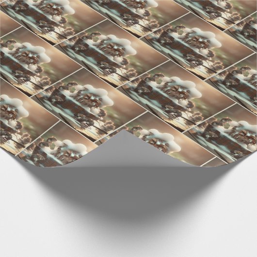 Kat die een bad neemt cadeaupapier (Hoek)