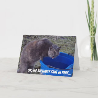 Kat die een kaart van de Cake van de Verjaardag