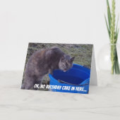 Kat die een kaart van de Cake van de Verjaardag (Voorkant)