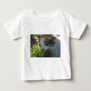 Kat die een Plant Ruikt