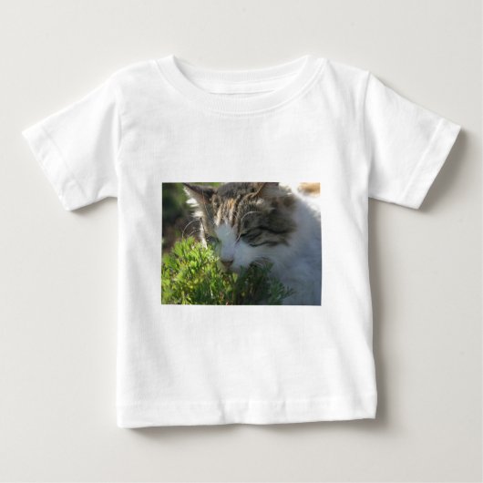 Kat die een Plant Ruikt (Voorkant)