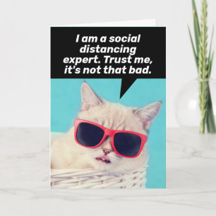 Kat die een sociaal distantie-expert is - Copingka Kaart