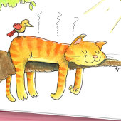Kat die in de zon groet slaapt kaart