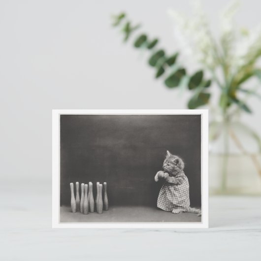 Kat die kleding draagt en bowling  Oddity Briefkaart (Staand voorkant)