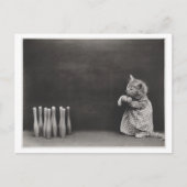 Kat die kleding draagt en bowling  Oddity Briefkaart (Voorkant)