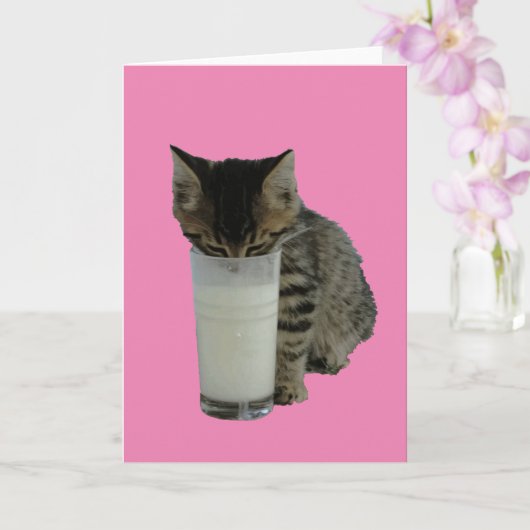 Kat die melk uit een glas steelt kaart (Orchidee)