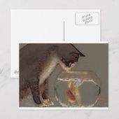 Kat die naar Goudvis Bowl kijkt Briefkaart (Voorkant / Achterkant)