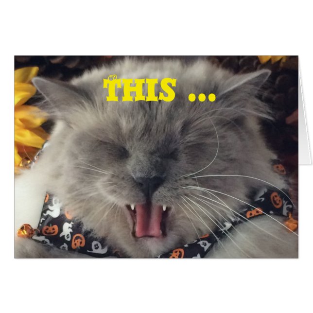 Kat die naar muziek gaat, kaart (Voorkant Horizontaal)