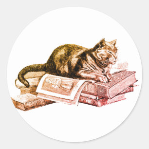 Kat die op een stapel boeken ligt ronde sticker
