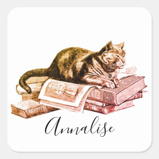 Kat die op een stapel boeken ligt vierkante sticker (Voorkant)