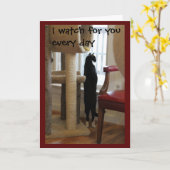 Kat die uit Venster kijken Kaart (Gele Bloem)