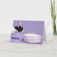 Kat die verjaardagspet dragen die uit kaarsen