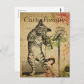  kat die viool speelt briefkaart (Voorkant / Achterkant)