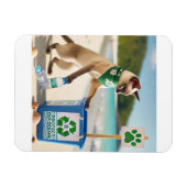 Kat die vuilnis ophaalt, maakt het strand schoon magneet (Horizontaal)