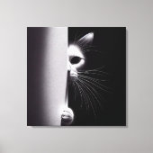 Kat die zich in schaduwen verbergt canvas afdruk (Voorkant)