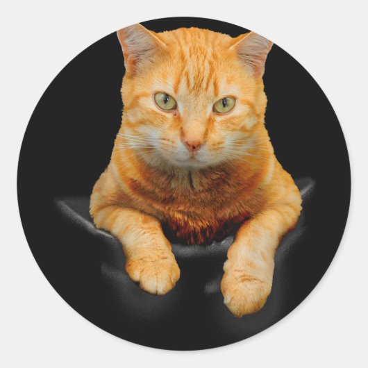 Kat-dieren: Kat-motorkap Ronde Sticker (Voorkant)