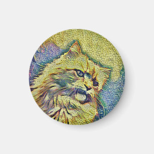 Kat, dierlijke ,natuur magneet