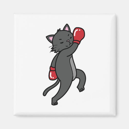Kat doet aan boksen magneet (Voorkant)
