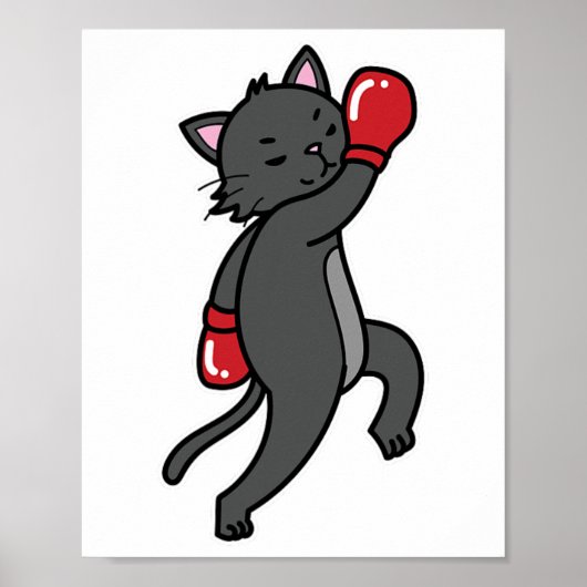 Kat doet aan boksen poster (Voorkant)