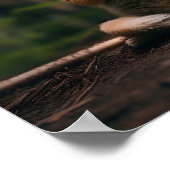 Kat doet yoga digitale print (Hoek)