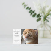 Kat door het venster Visitekaartje (Staand voorkant)