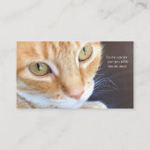 Kat door het venster Visitekaartje (Achterkant)