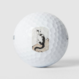 Kat (door Xu Beihong) Golfballen