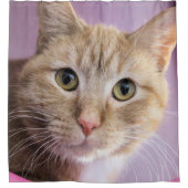 Kat Douchegordijn (Voorkant)