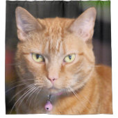 Kat Douchegordijn (Voorkant)