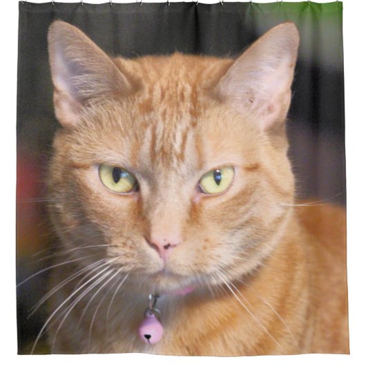 Kat Douchegordijn (Voorkant)