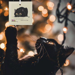 Kat draaiend glas ornament