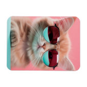 Kat Dragen Aviator Zonnebril Magnet Magneet (Horizontaal)