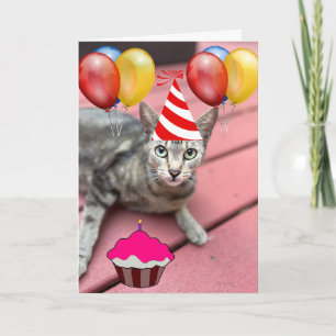 KAT DRAGEN PARTY PET GRAPPIG VERJAARDAG WENSKAART KAART