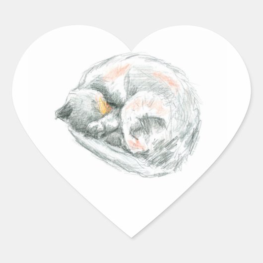 Kat Drempel Hart Sticker (Voorkant)