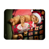 Kat Drink eieren Nog Magneet (Horizontaal)