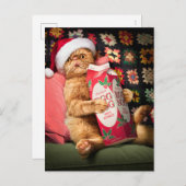 Kat Drink eieren Nog Uitnodiging Briefkaart (Voorkant / Achterkant)