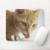 Kat drink melk muismat (Met muis)