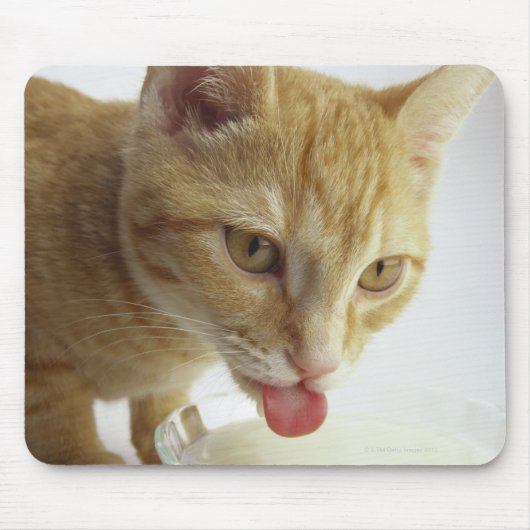 Kat drink melk muismat (Voorkant)
