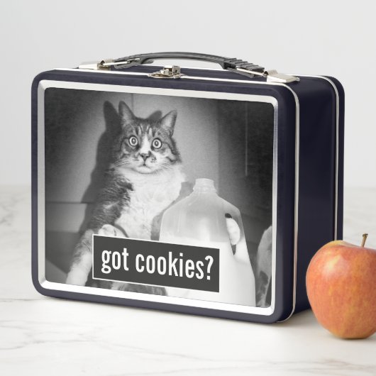 Kat Drink melk van Jug (In situ)