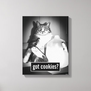 Kat Drink melk van Jug Canvas Afdruk