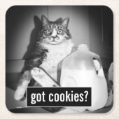 Kat Drink melk van Jug Kartonnen Onderzetters (Voorkant)