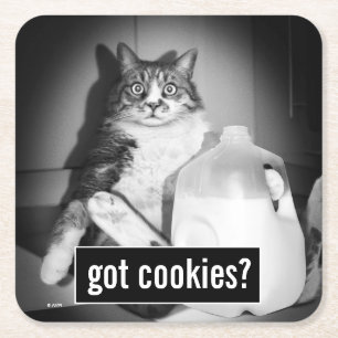 Kat Drink melk van Jug Kartonnen Onderzetters
