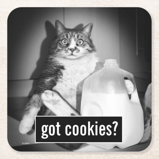 Kat Drink melk van Jug Kartonnen Onderzetters (Voorkant)