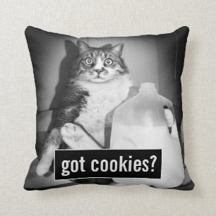 Kat Drink melk van Jug Kussen