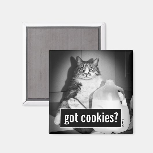 Kat Drink melk van Jug Magneet (Voorkant / Achterkant)