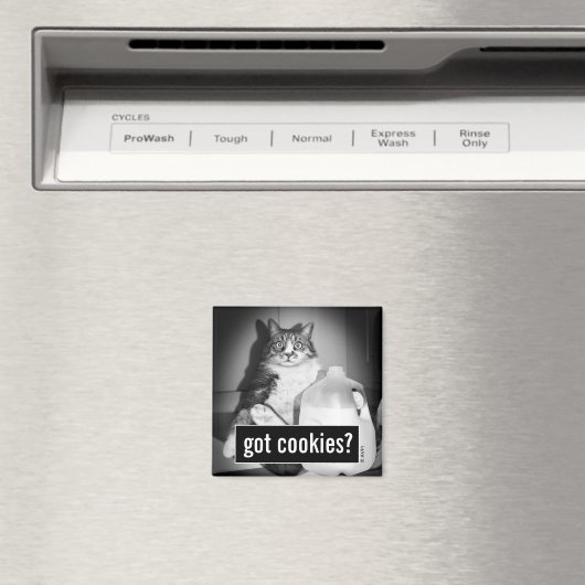 Kat Drink melk van Jug Magneet (Insitu (Vaatwasser))