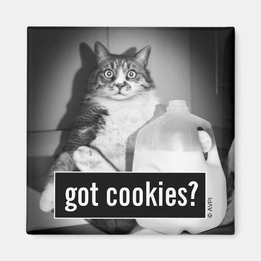 Kat Drink melk van Jug Magneet (Voorkant)