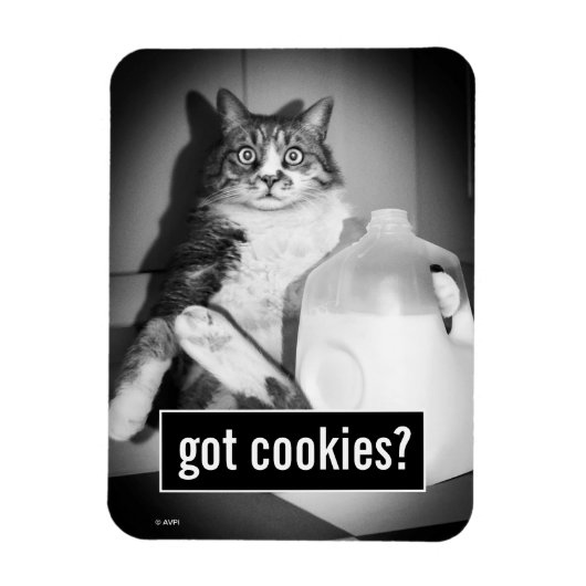 Kat Drink melk van Jug Magneet (Verticaal)