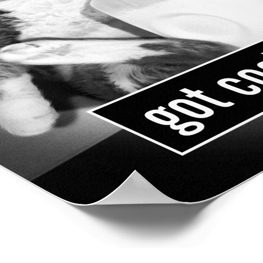 Kat Drink melk van Jug Poster (Hoek)