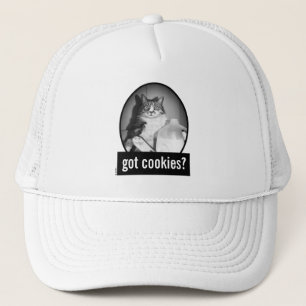 Kat Drink melk van Jug Trucker Pet